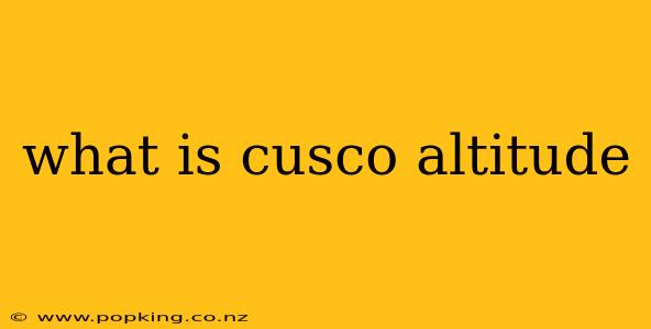 what is cusco altitude