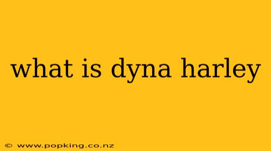 what is dyna harley