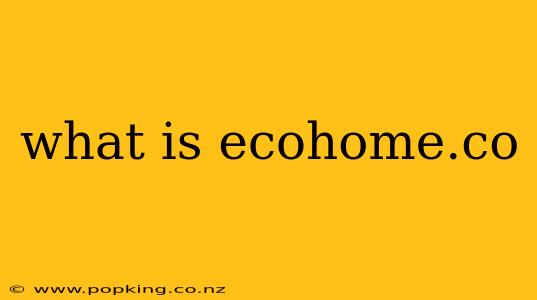 what is ecohome.co