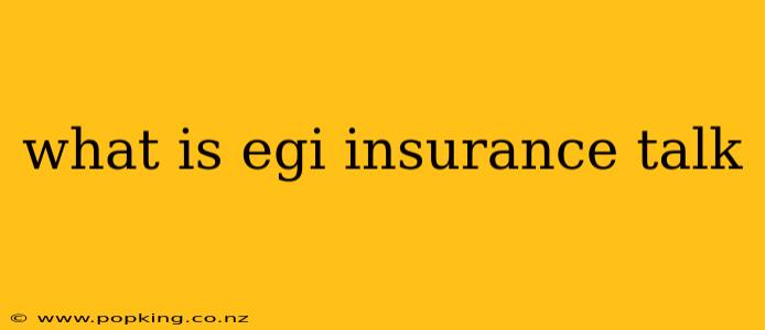 what is egi insurance talk