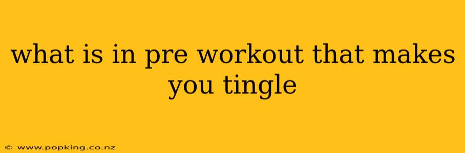 what is in pre workout that makes you tingle