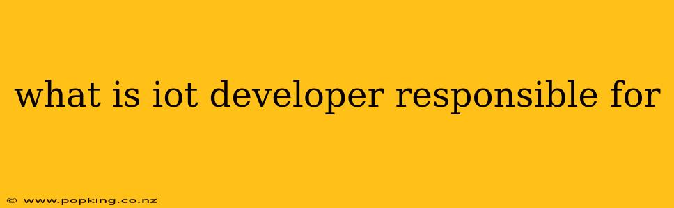 what is iot developer responsible for