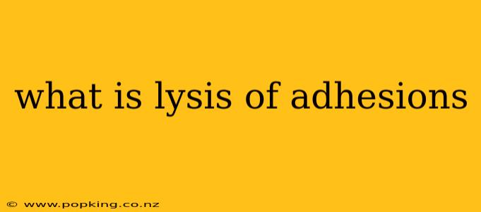 what is lysis of adhesions