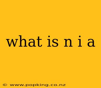 what is n i a