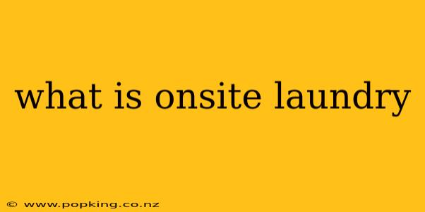 what is onsite laundry