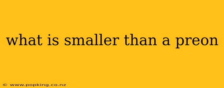 what is smaller than a preon