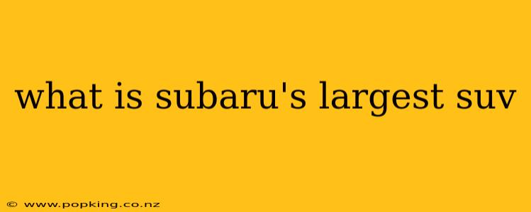 what is subaru's largest suv