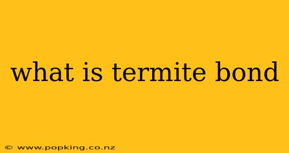 what is termite bond