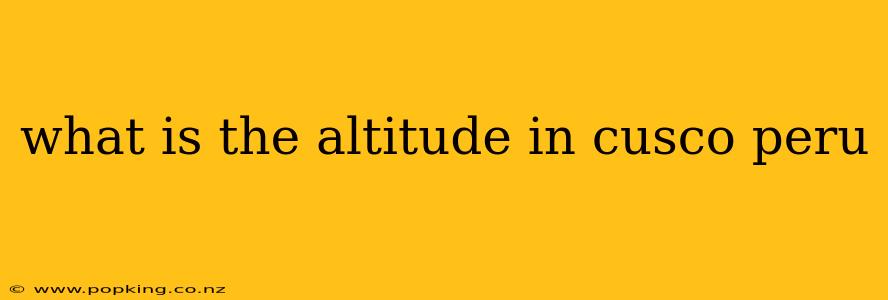 what is the altitude in cusco peru