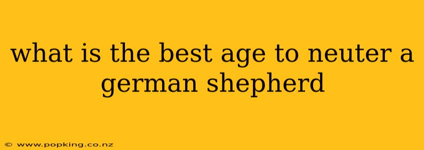what is the best age to neuter a german shepherd