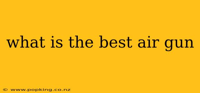 what is the best air gun