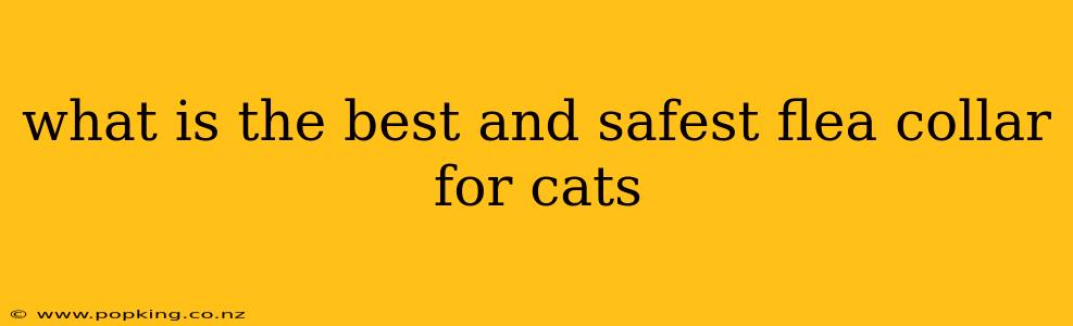 what is the best and safest flea collar for cats