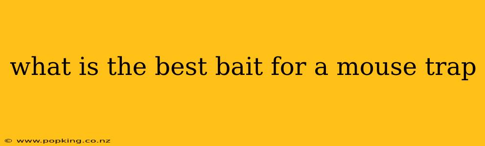 what is the best bait for a mouse trap