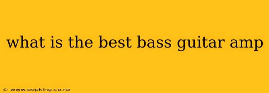 what is the best bass guitar amp