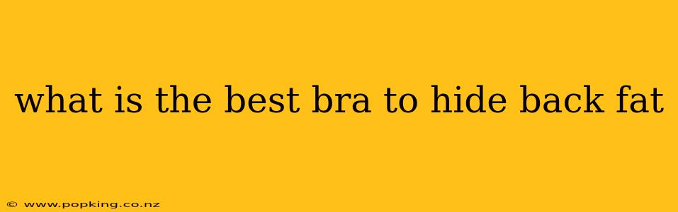 what is the best bra to hide back fat