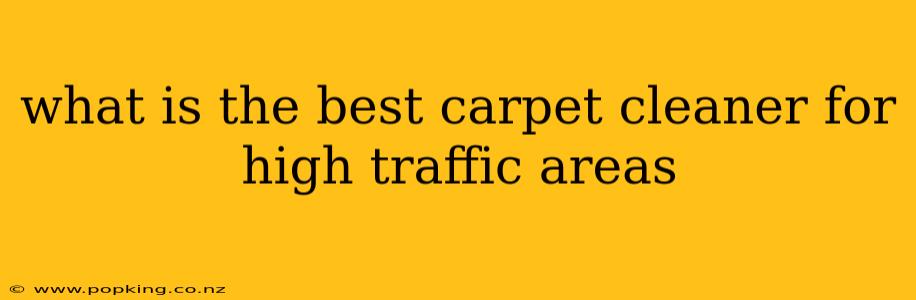 what is the best carpet cleaner for high traffic areas