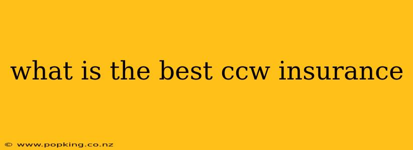 what is the best ccw insurance