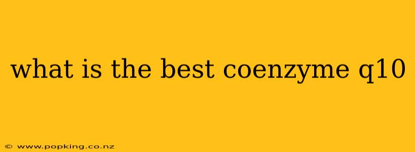 what is the best coenzyme q10