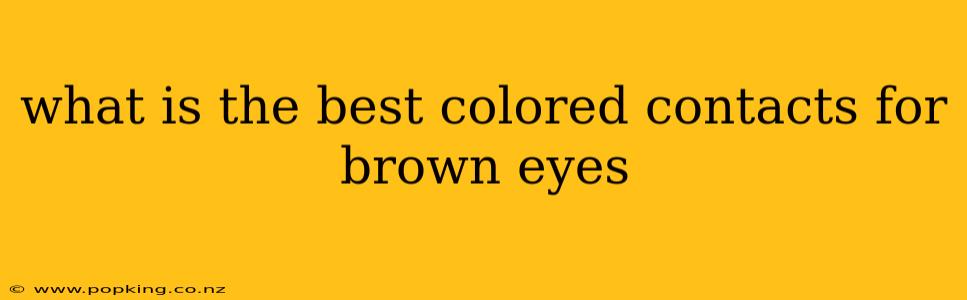 what is the best colored contacts for brown eyes