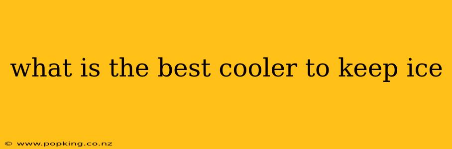 what is the best cooler to keep ice