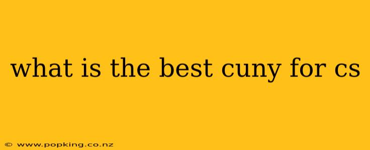 what is the best cuny for cs