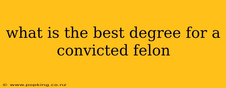 what is the best degree for a convicted felon