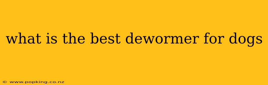 what is the best dewormer for dogs