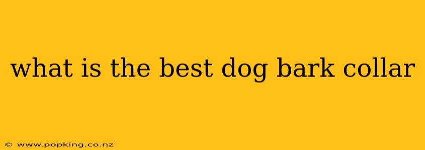 what is the best dog bark collar