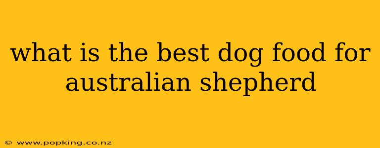 what is the best dog food for australian shepherd