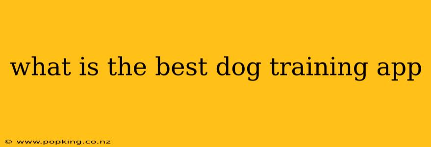 what is the best dog training app