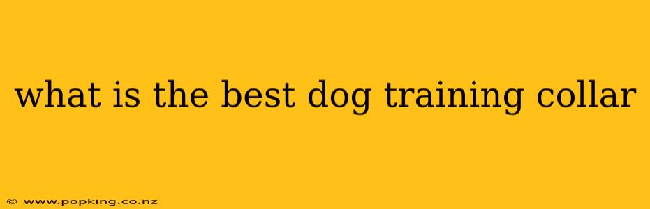 what is the best dog training collar