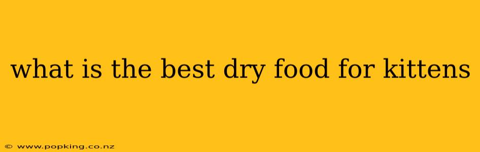 what is the best dry food for kittens