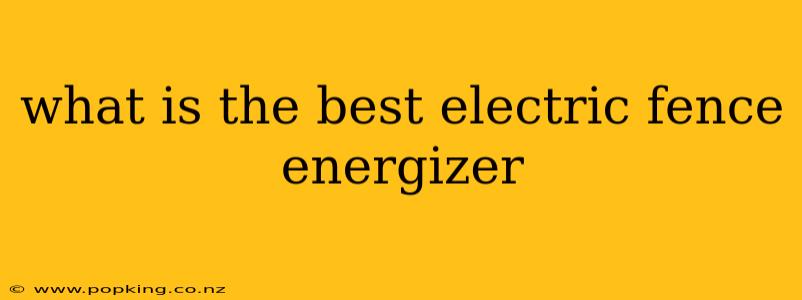what is the best electric fence energizer