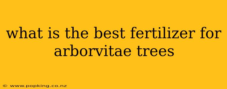 what is the best fertilizer for arborvitae trees