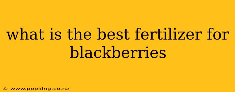 what is the best fertilizer for blackberries