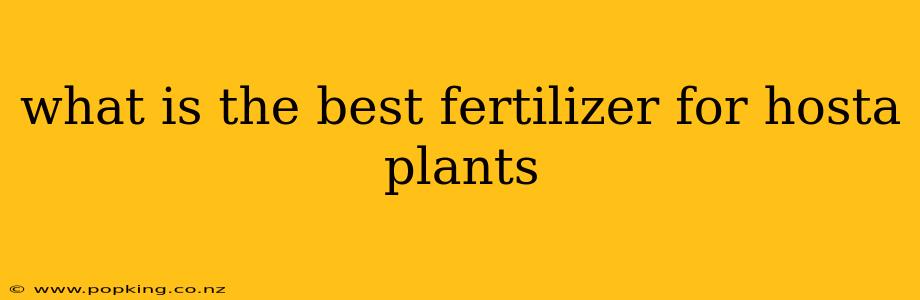 what is the best fertilizer for hosta plants