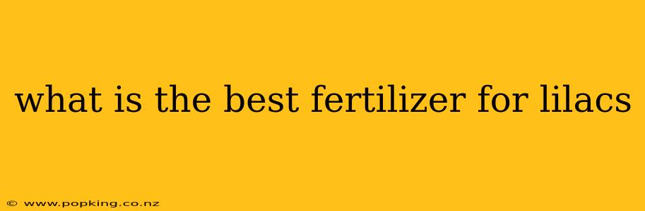 what is the best fertilizer for lilacs