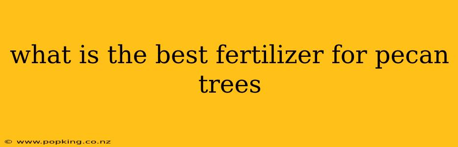 what is the best fertilizer for pecan trees