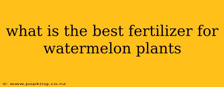 what is the best fertilizer for watermelon plants