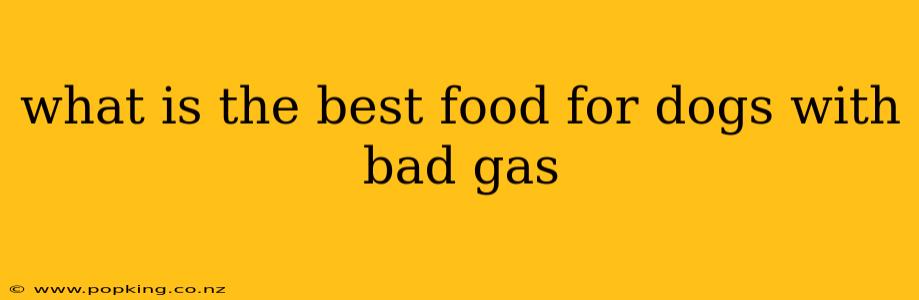 what is the best food for dogs with bad gas