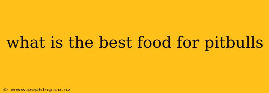 what is the best food for pitbulls