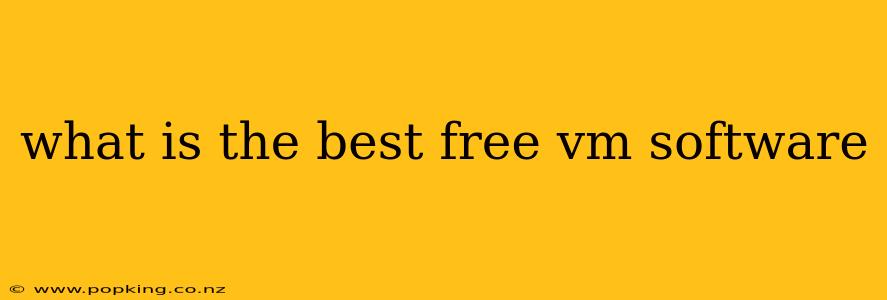 what is the best free vm software