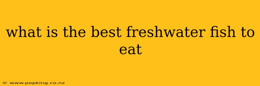 what is the best freshwater fish to eat