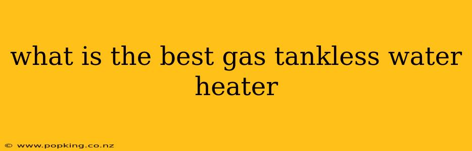 what is the best gas tankless water heater