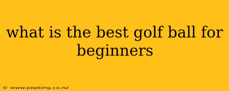 what is the best golf ball for beginners