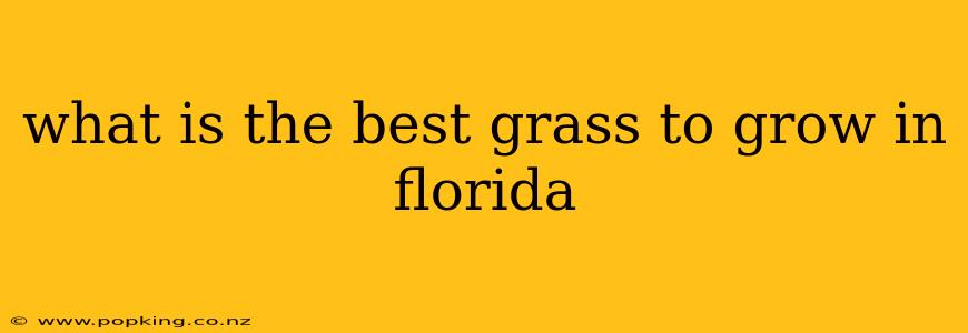 what is the best grass to grow in florida