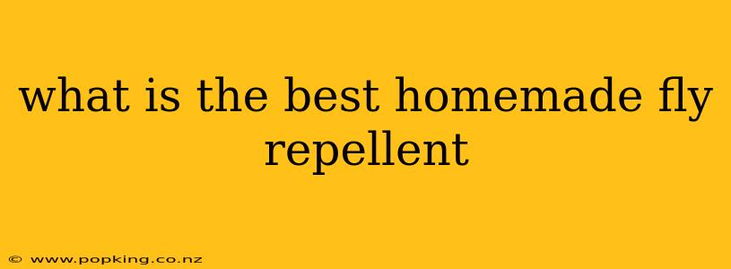what is the best homemade fly repellent