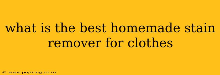 what is the best homemade stain remover for clothes