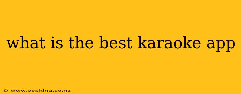 what is the best karaoke app
