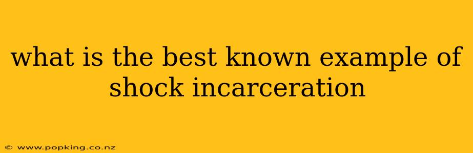 what is the best known example of shock incarceration